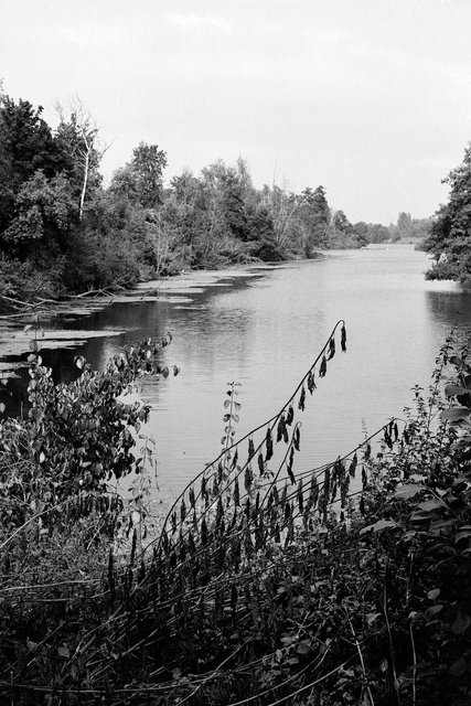 xp2_204.jpg