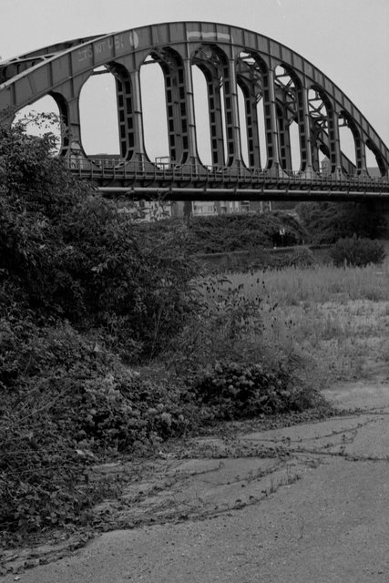 XP2_1083pc1.jpg