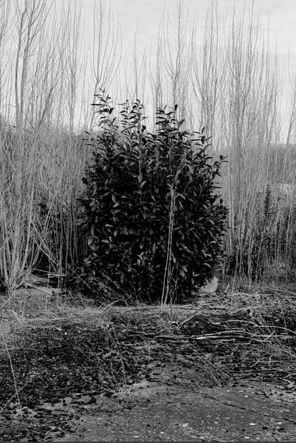 xp2_607cr.jpg