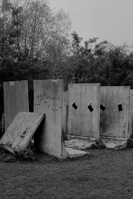 XP2_1103pc1.jpg