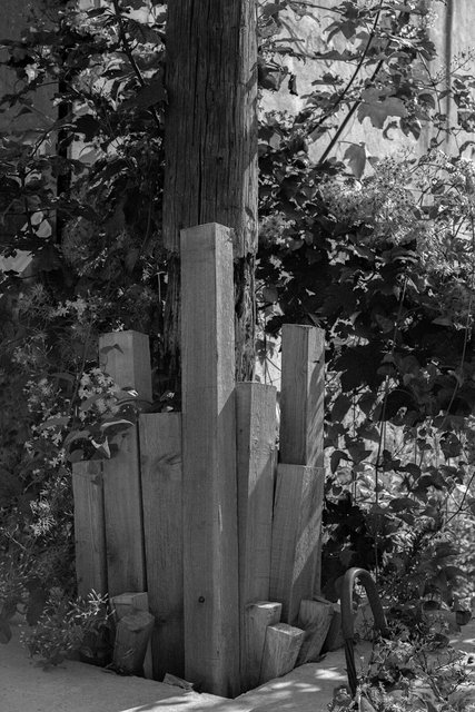 xp2_185.jpg