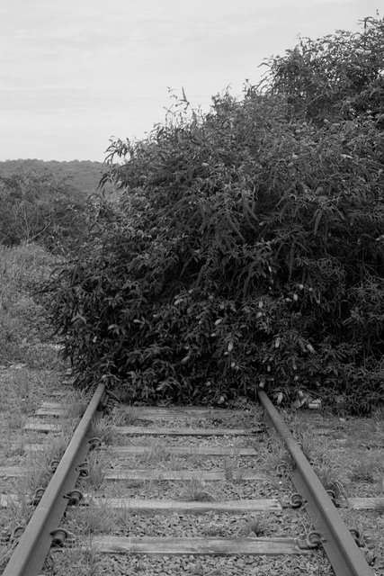 XP2_1071pc1.jpg