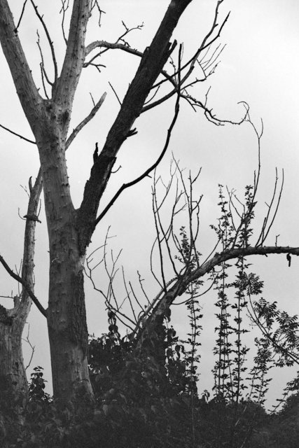 xp2_207.jpg