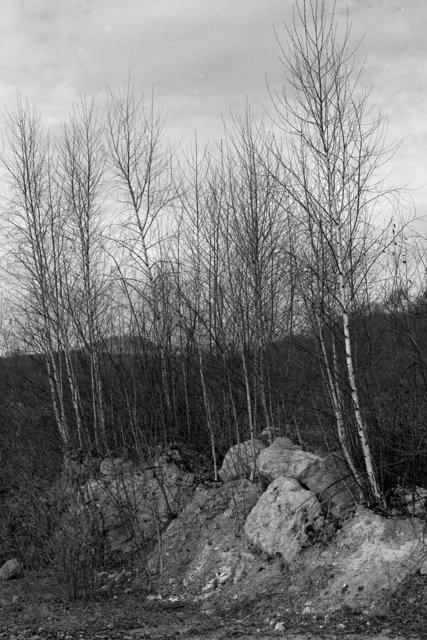 xp2_576cr.jpg