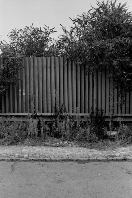 XP2_1034pc1.jpg