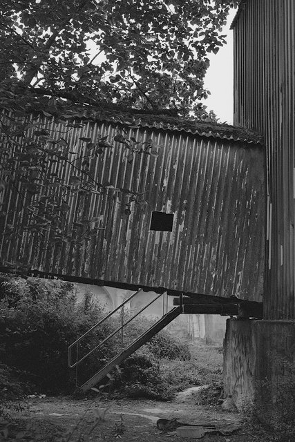 xp2_774pc1.jpg