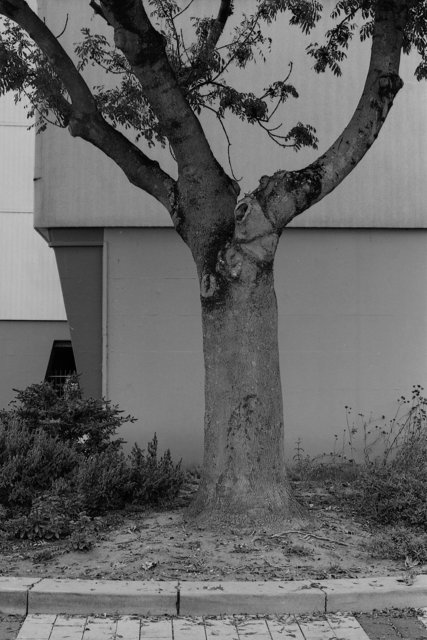 XP2_1109pc1.jpg