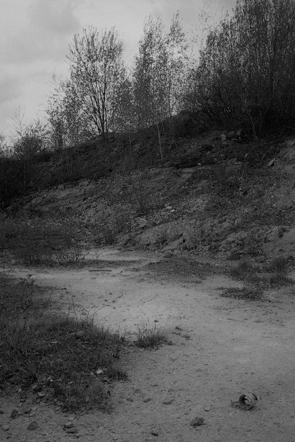 xp2_642.jpg