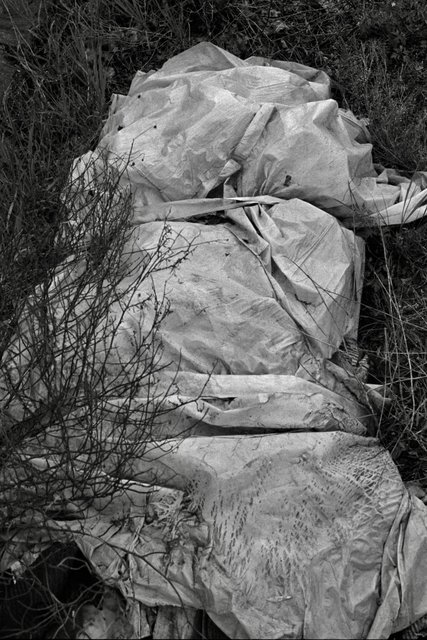 F3_200 19.41.30.jpeg