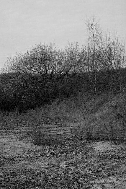 xp2_577cr.jpg