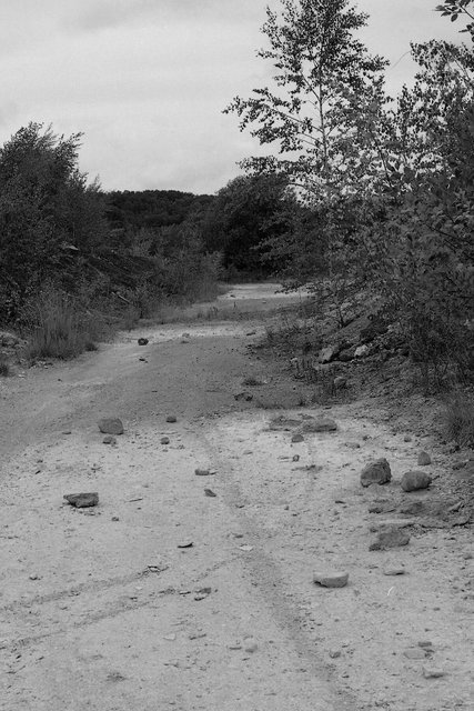 xp2_783pc1.jpg