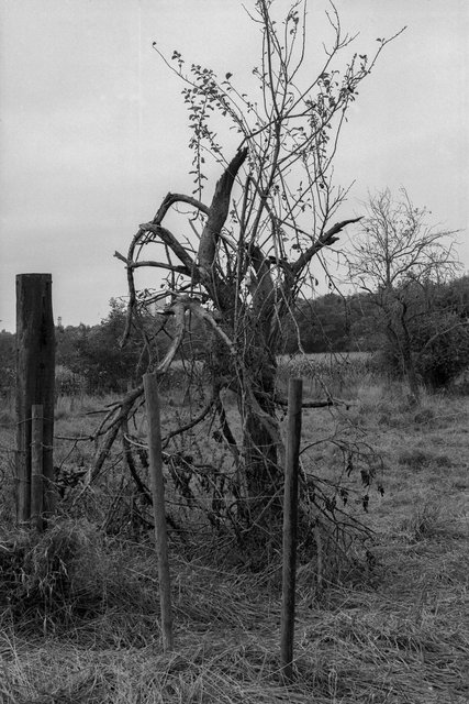 xp2_175.jpg