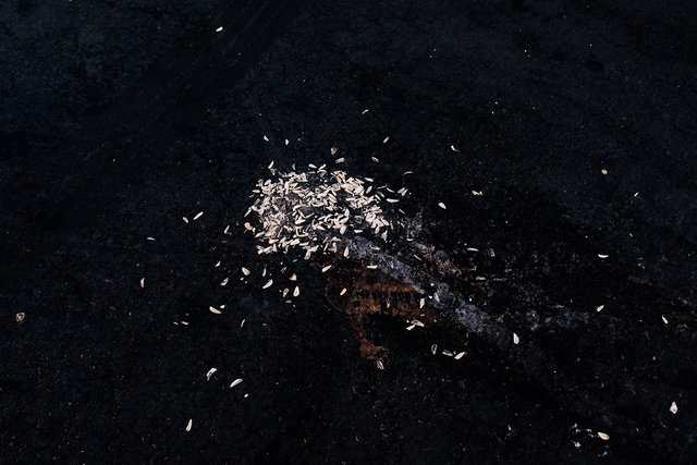JohnFPeters_WEB_ParkingLot_019.JPG