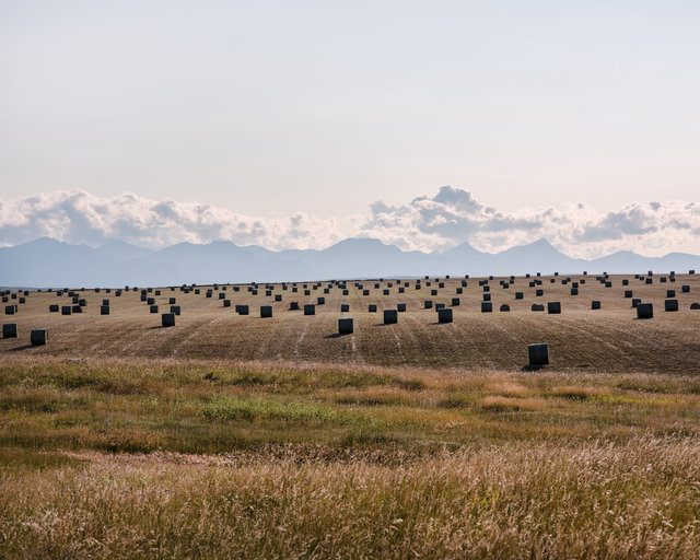 JohnFPeters_WEB_ALBERTA_16.JPG