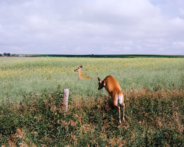 JohnFPeters_WEB_ALBERTA_25.JPG