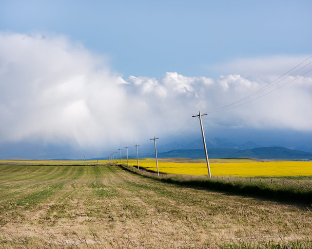 JohnFPeters_WEB_ALBERTA_32.JPG