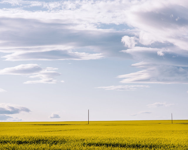 JohnFPeters_WEB_ALBERTA_19.JPG