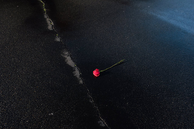 JohnFPeters_WEB_ParkingLot_029.JPG