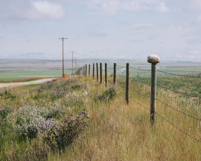 JohnFPeters_WEB_ALBERTA_02.JPG