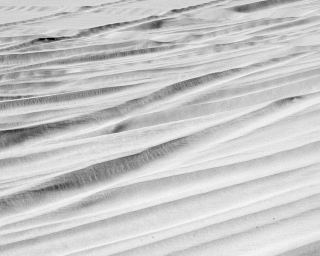JohnFPeters_DUNES_008.JPG
