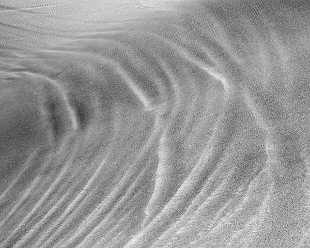 JohnFPeters_DUNES_005.JPG
