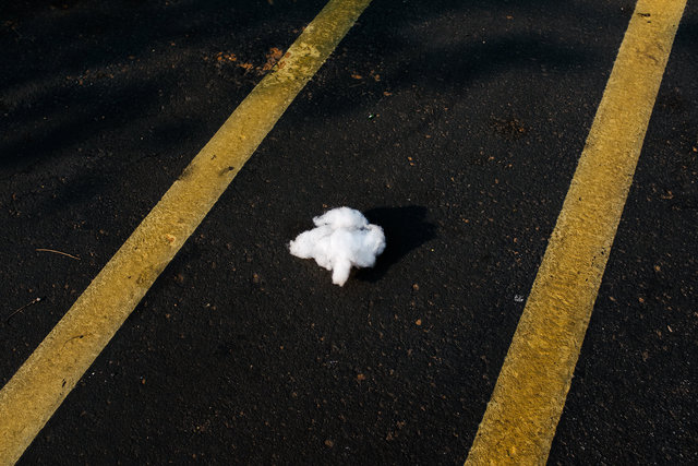 JohnFPeters_WEB_ParkingLot_027.JPG