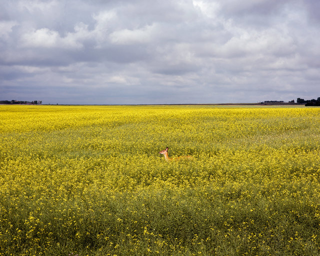 JohnFPeters_WEB_ALBERTA_09.JPG
