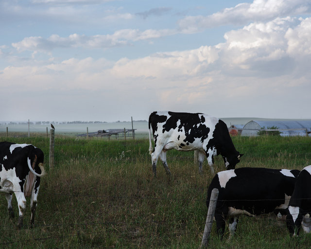 JohnFPeters_WEB_ALBERTA_29.JPG