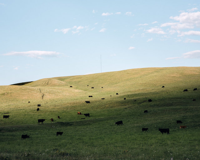 JohnFPeters_WEB_ALBERTA_17.JPG