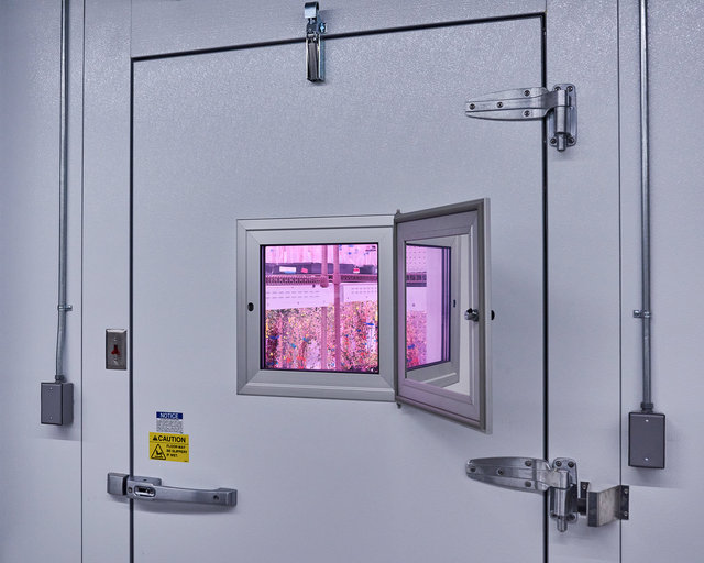 JohnFPeters_WEB_SALK_013.JPG