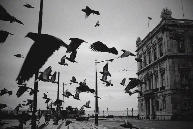 Lisbon