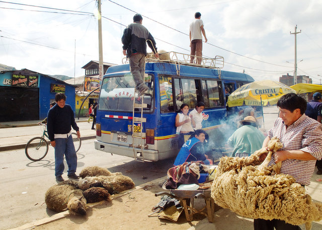 Bus Line