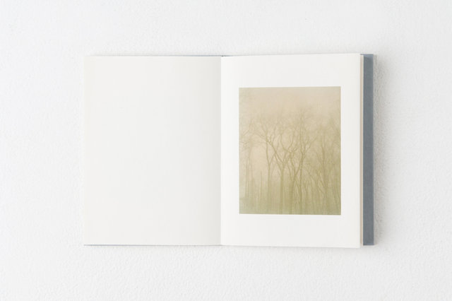 encounters, 33 pages, accordion book. Published by Datz Press in 2015.