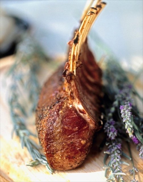 food book low res