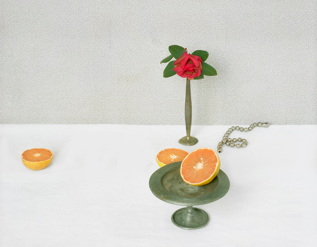 Camelia and Grapefruit, c 2010