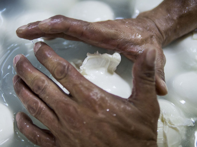 La Mozzarella di Bufala Campana_ Caseificio Stella Bianca