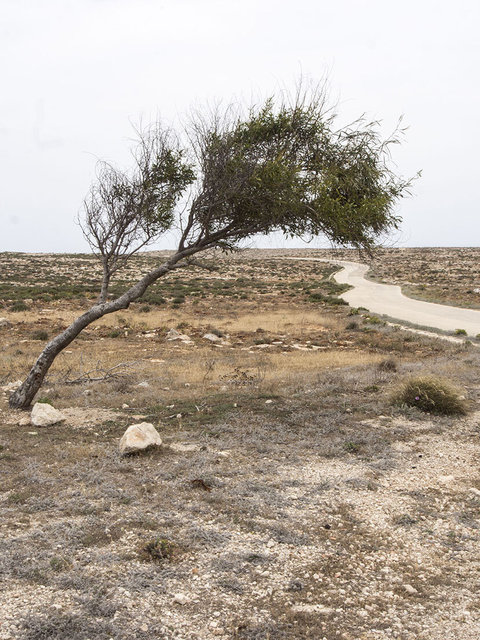 Via del mare e del vento- Lampedusa