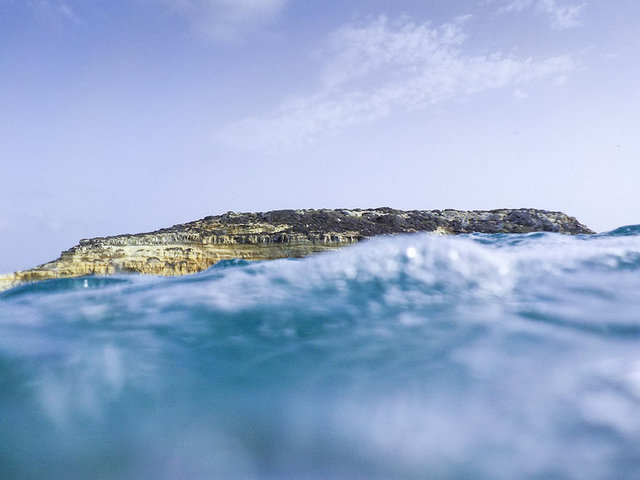 L'isola dei conigli_4