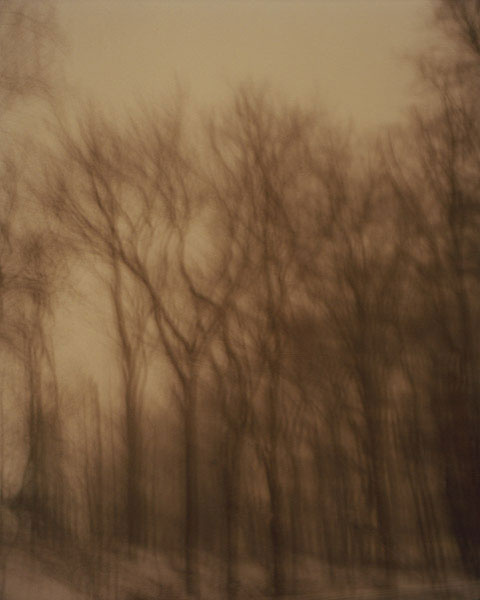 Windy Night, New Jersey, 2010