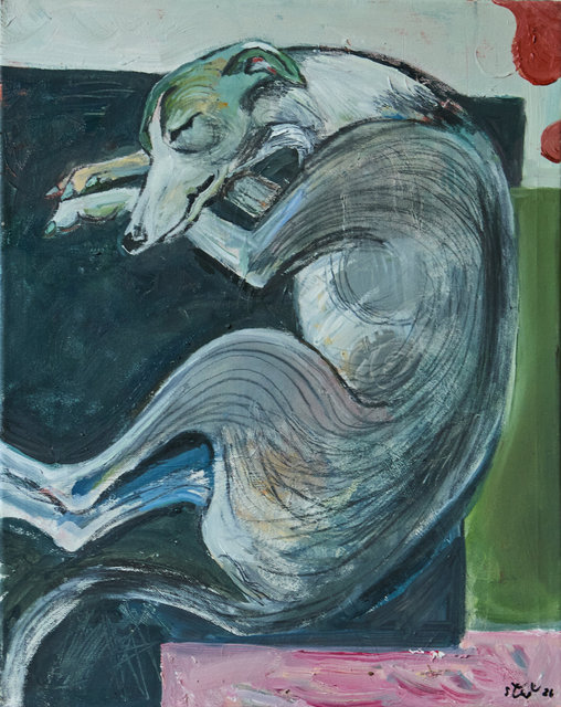 Sleeping Dog