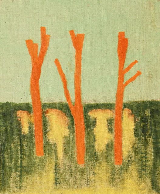 Pollarded Tree's in the Dunes