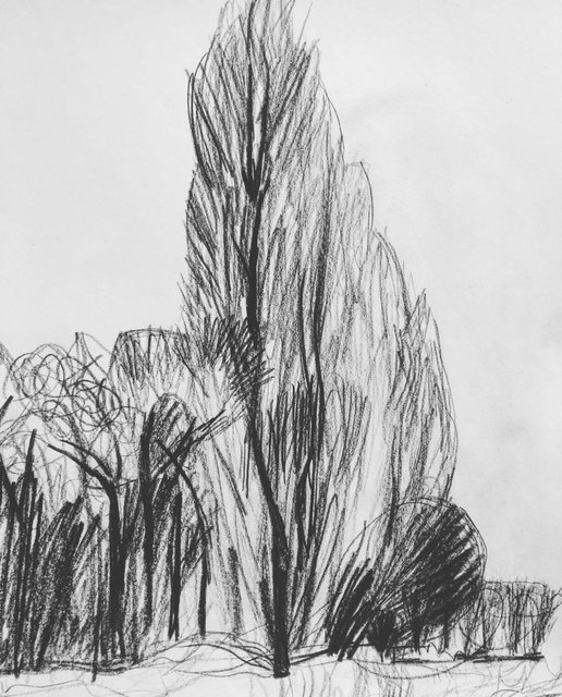Chorlton Meadows