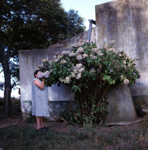 4 30x30 Cibachcrome.jpg