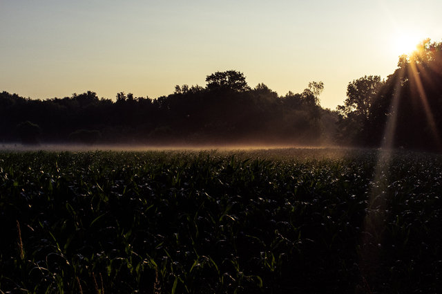 dw-20130716-174-4.jpg