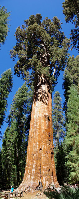 General Sherman Panorama VB.JPG