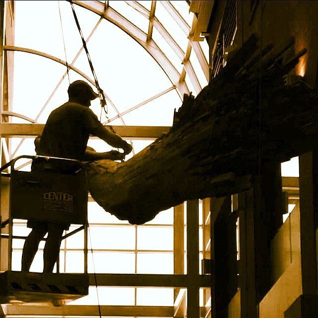 Installing Lacuna