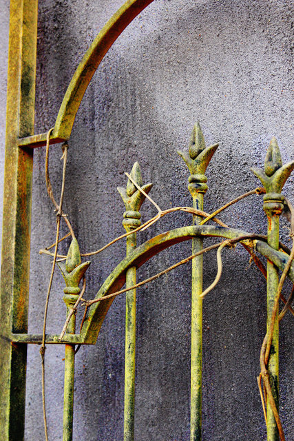 The Gate