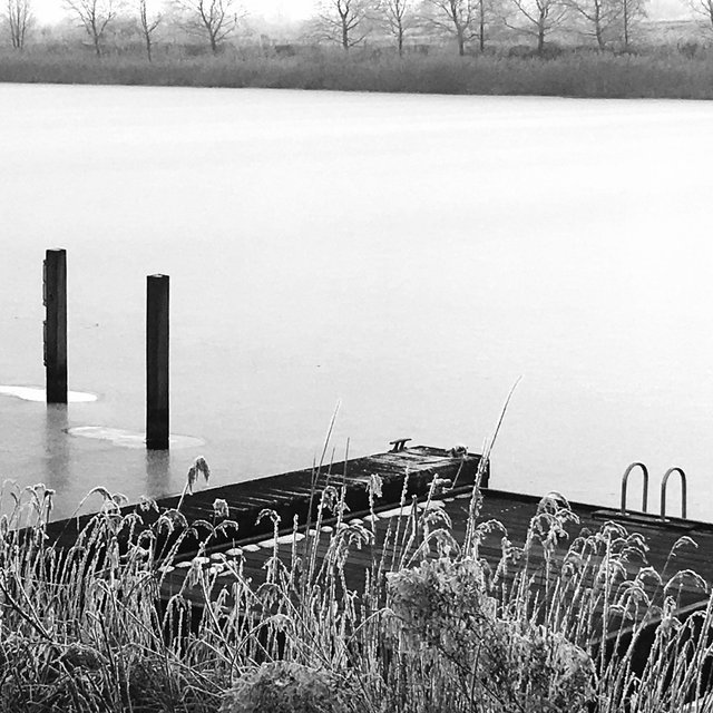 Koog aan de Zaan, The Netherlands