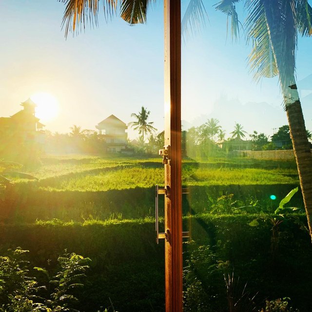 Ubud