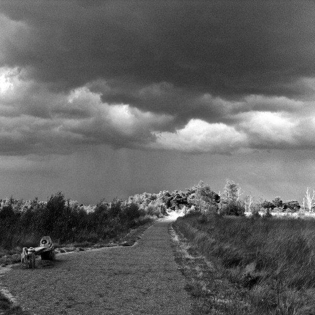 De Groote Peel, The Netherlands